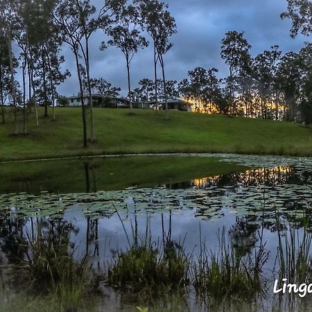 Linga Longa Spiritual Retreat Curra Exterior foto